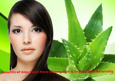 Benefits Of Aloe vera For Hair And Skin
