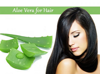 Benefits-Of-Aloe-Vera-For-Hair
